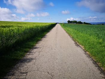 Tranquil landscape with road on a sunny day