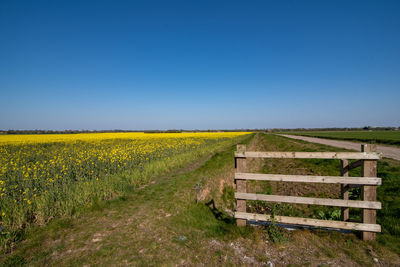 Scenic view of field against clear sky