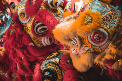 Close-up of multi colored feathers