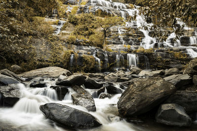 Scenic view of waterfall at forest