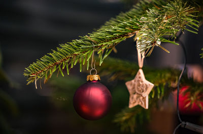 Close-up of christmas decorations