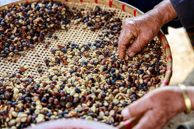Process of sorting dried coffee beans by hand farmers