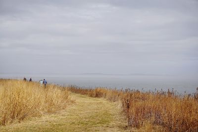 Man standing on field by sea against sky
