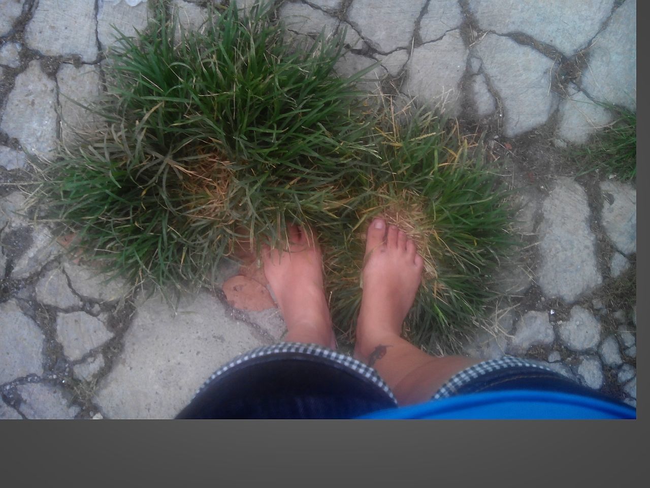 low section, high angle view, person, personal perspective, lifestyles, leisure activity, human foot, day, outdoors, directly above, plant, standing, sand, part of, sunlight, unrecognizable person