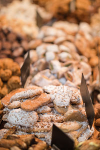 Close-up of food on rock