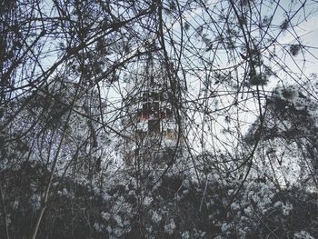 Low angle view of bare trees against sky