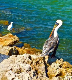 Rocks in sea