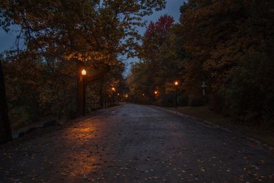 Illuminated road amidst trees against sky at night