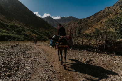 Rear view of people walking on mountain against sky