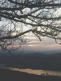 Bare trees on landscape at sunset