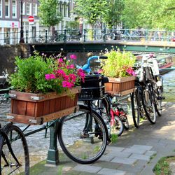 Bicycle parked in park