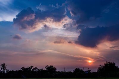 Low angle view of silhouette trees against sky during sunset