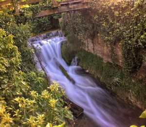 Close-up of waterfall against trees