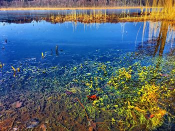 Scenic view of lake