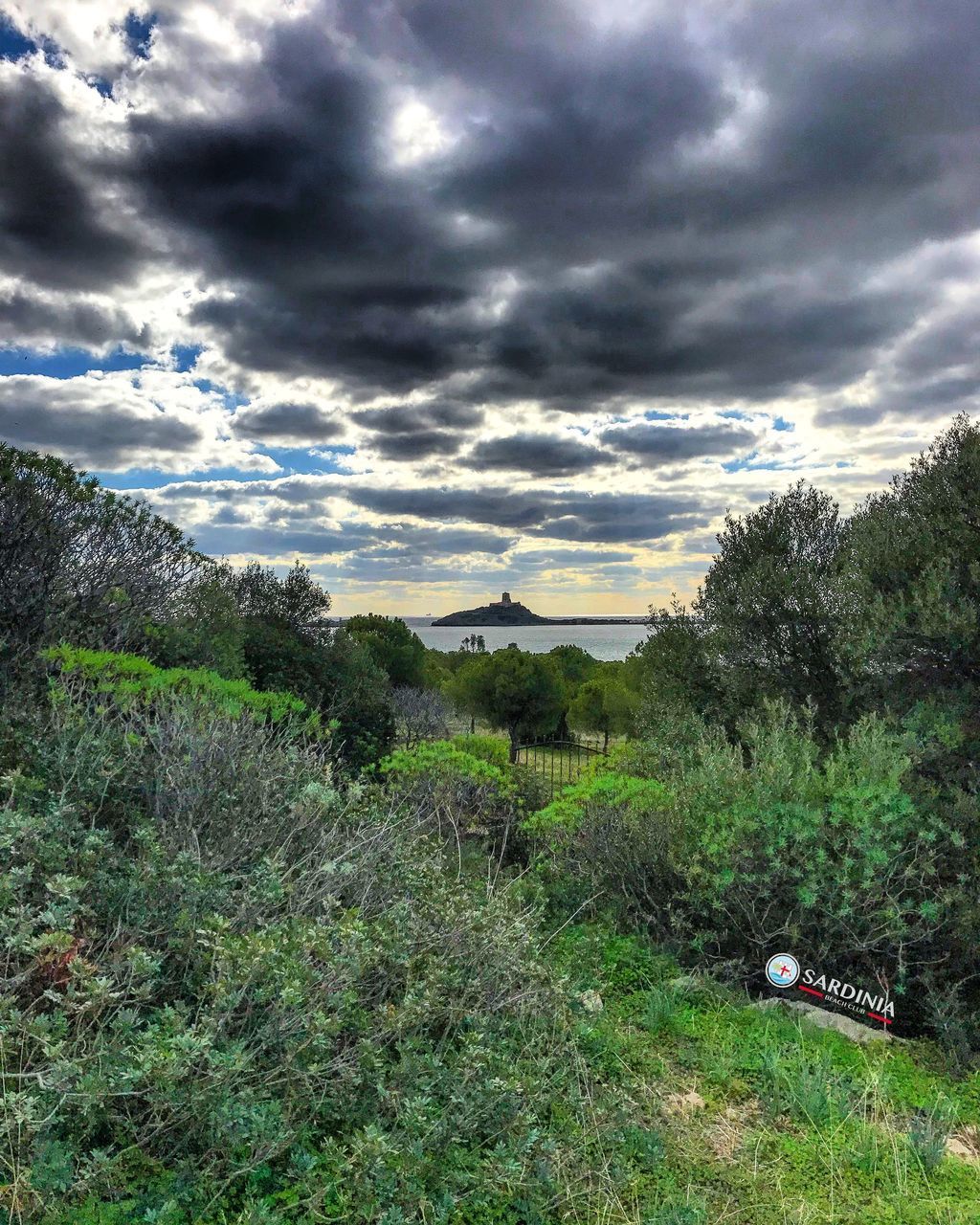 VIEW OF FIELD AGAINST CLOUDY SKY