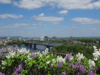 View of bridge over river in city against sky