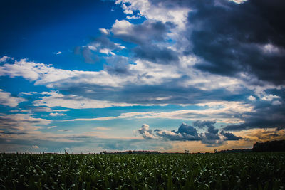 Scenic view of field against sky during sunset