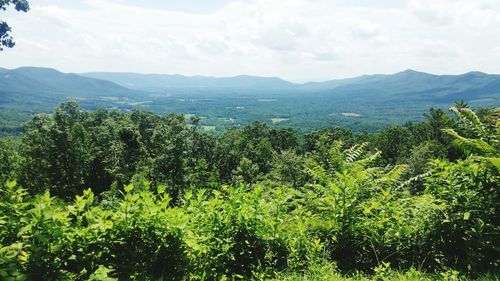 Scenic view of tree mountains against sky