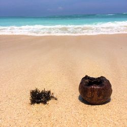 Scenic view of sea shore