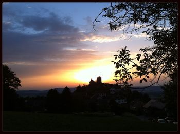 Silhouette of trees at sunset