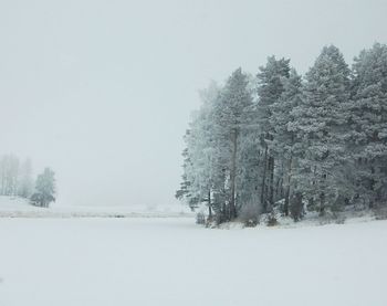 Trees on snow field against sky