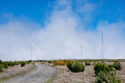 Scenic view of land against sky