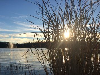 Scenic view of lake at sunset