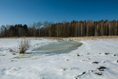 Frozen water on a meadow, snow and forest