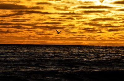 Silhouette bird flying over sea against orange sky