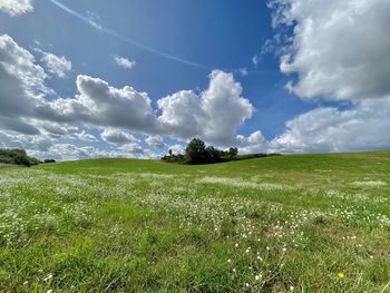 Scenic view of field against sky