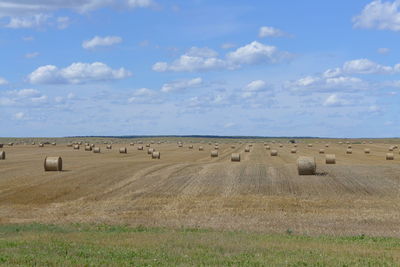 Hay bales on field against sky