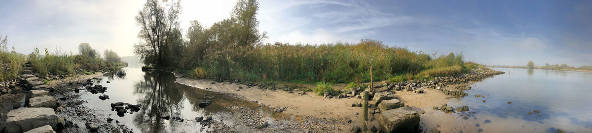 Panoramic shot of trees against sky