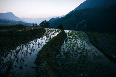 Scenic view of farm against sky