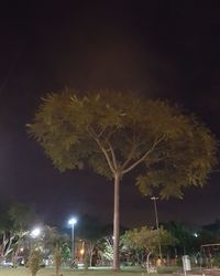 Illuminated street light against sky at night