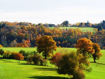 Scenic view of autumn trees against sky