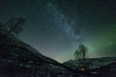 Low angle view of illuminated trees against sky at night