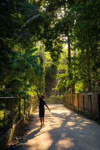 Rear view full length of man walking by trees on road