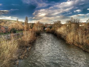 River flowing amidst plants against sky