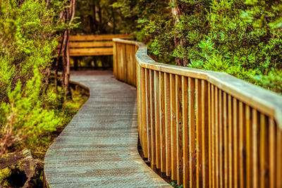 Wooden footbridge in park