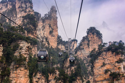 Overhead cable car amidst trees against sky