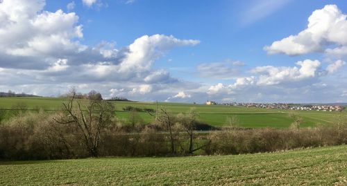 Scenic view of agricultural field against sky