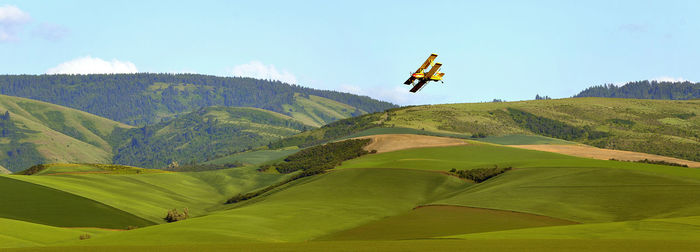 Scenic view of green landscape against sky