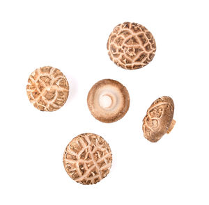 High angle view of eggs against white background