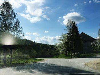 Road passing through trees