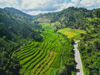 landscape