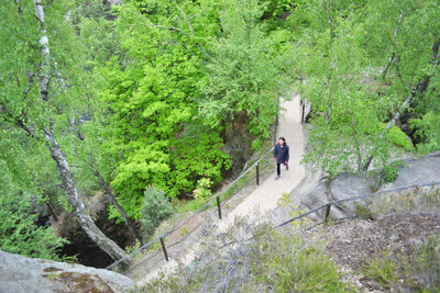 People walking in forest