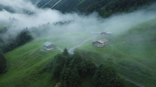 Aerial view of house on green landscape