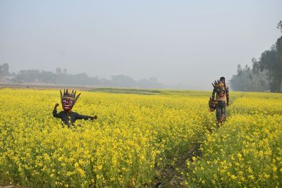 rapeseed