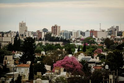 View of buildings in city