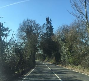 Road amidst trees against clear sky